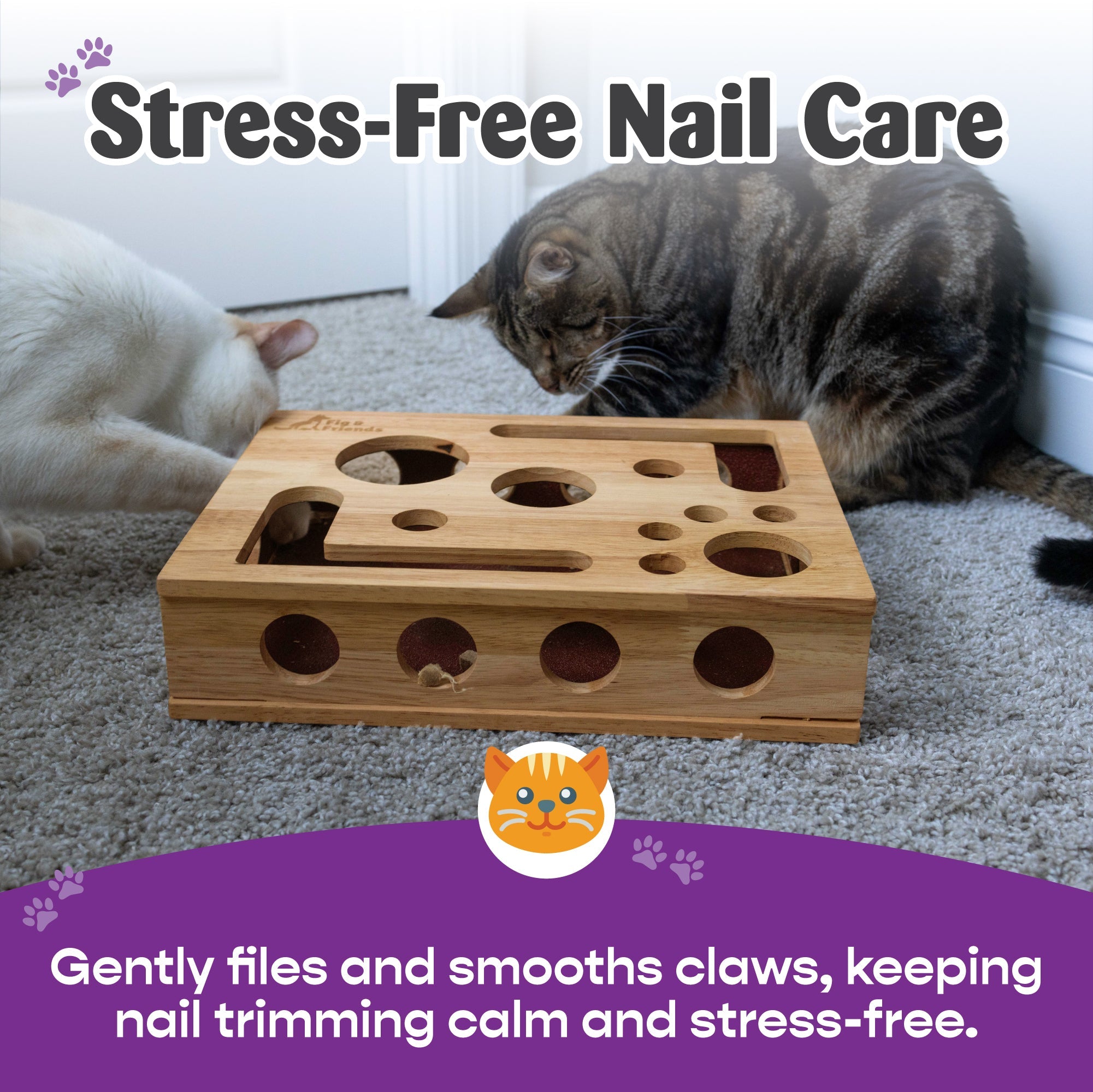 Cat Nail File Enrichment Box