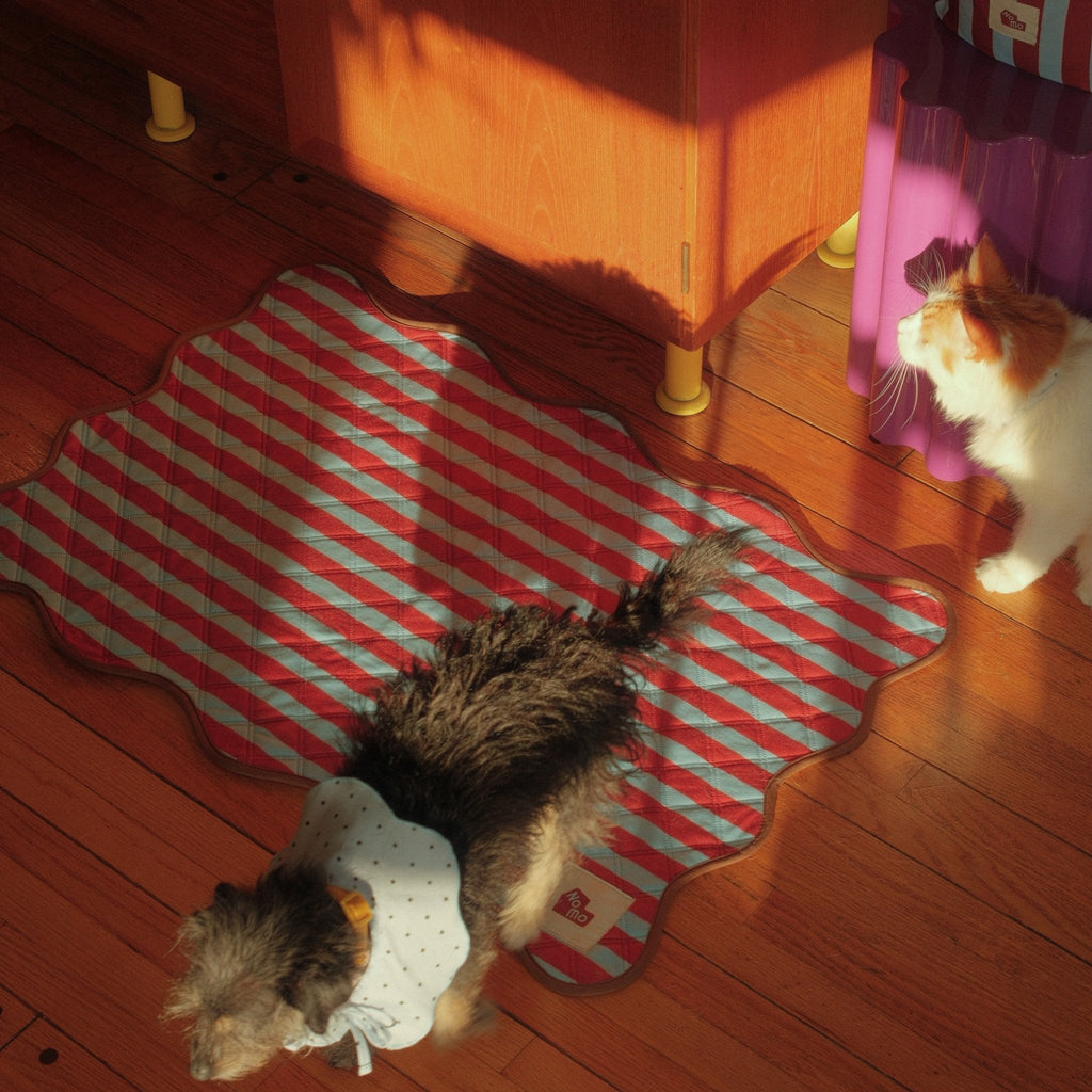 The Ellie Pad – Reusable Washable Dog Pee Pad